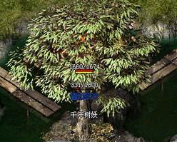 千年树妖BOSS 千年树妖BOSS