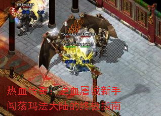 Ѫ棺Ѫִ귨½ռָ
