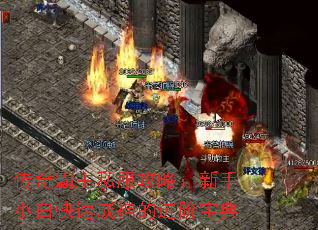 ˽ԣС׿ٳĽױ