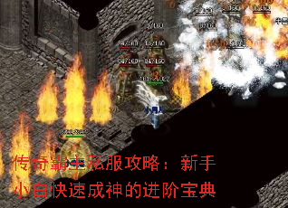 ˽ԣС׿ٳĽױ