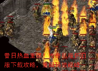 Ѫȼ˽ɷعԣػ귨۷