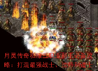 鴫˽ְҵֱرԣǿսʿʦ͵ʿ