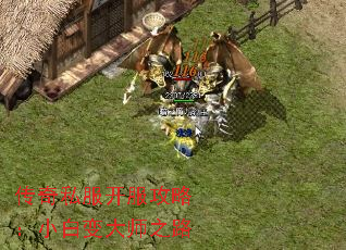 ˽ԣСױʦ֮·