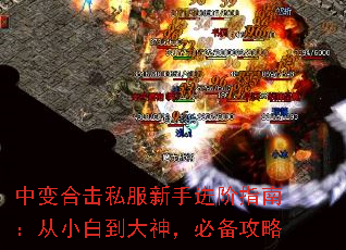 бϻ˽ָֽϣС׵񣬱ر