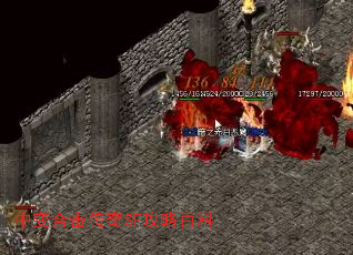 бϻSF԰ٿ