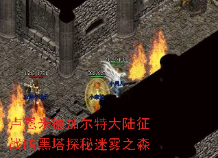 ¬׵¼Ӷش½ս֮̽ɭ
