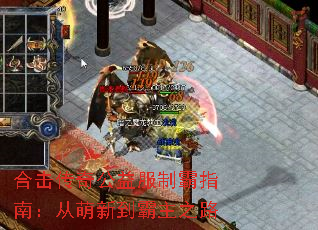 ϻ湫ưָϣµ֮·