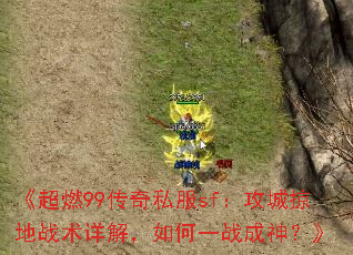 ȼ99˽sfӵս⣬һս񣿡
