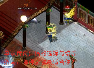 ְµѡָϣֳʺ㣿
