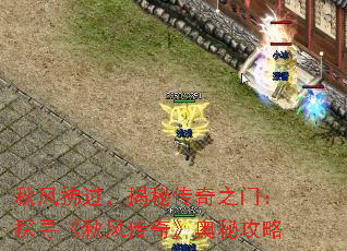 ش֮ţ̽Ѱ紫桷ع