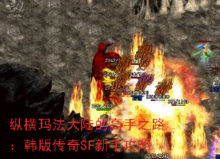 ݺ귨½ĸ֮·洫SFֹ