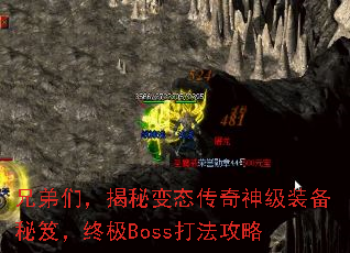 ֵǣر̬װţռBoss򷨹