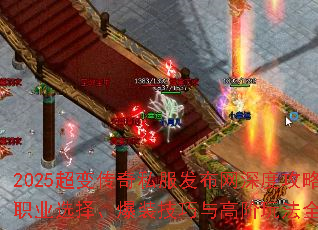 2025䴫˽ȹԣְҵѡ񡢱װ߽淨ȫ