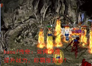 haosf棺οսưԷ