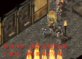 õ崫棺бµðգѧ