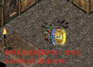 ְҵҲܳưԴ½ת12ְҵ棿