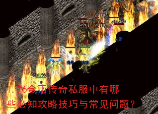 1.76Ҵ˽Щ֪Լ볣⣿