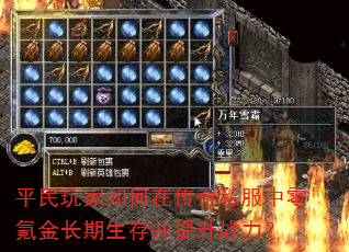 ƽڴ˽봽沢ս
