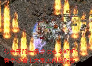 濪һȫֱؿʮ󳣼