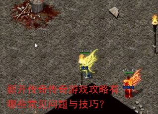 ¿洫ϷЩ뼼ɣ
