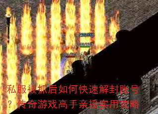 ˽ץοٽ˺ţϷʵù