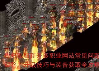 ˽¿ְҵվװȡȫ