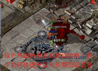 ɫѪ˽ԣοȡװ