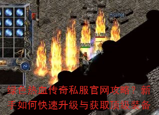 ɫѪ˽ԣοȡװ