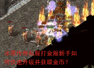 ѩ˽οȡң