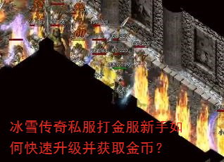 ѩ˽οȡң
