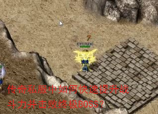 ˽οսռBOSS