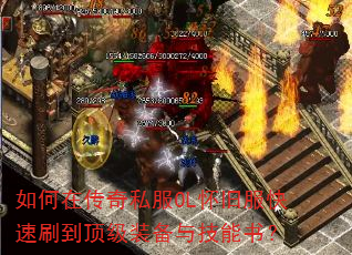 ڴ˽OLɷˢװ뼼飿