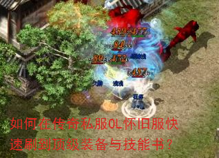 ڴ˽OLɷˢװ뼼飿