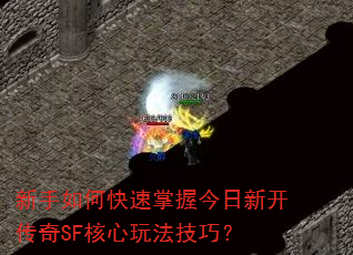 οս¿SF淨ɣ