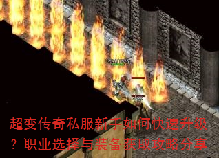 䴫˽οְҵѡװȡԷ
