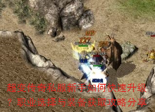 䴫˽οְҵѡװȡԷ