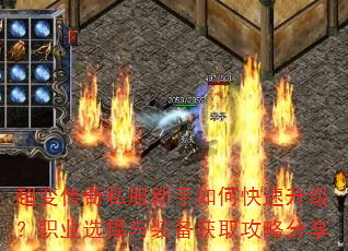 䴫˽οְҵѡװȡԷ