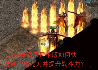 170˽¿οٻȡս