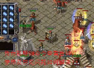 ˽GM鿴ʹüν