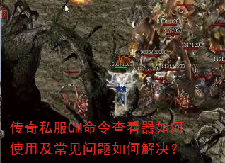 ˽GM鿴ʹüν