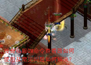 ˽GM鿴ʹüν