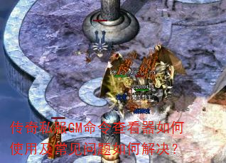 ˽GM鿴ʹüν