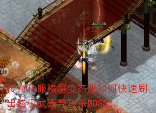 ˽̬οˢռɱBOSS
