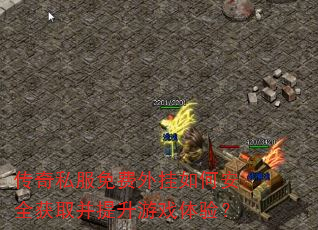 ˽ΰȫȡϷ飿