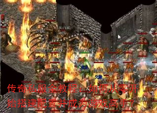 ˽ȫ̳̣δ㿪ʼòΪϷ֣