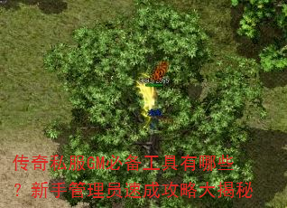 传奇私服GM必备工具有哪些?新手管理员速成攻略大揭秘 传奇私服GM必备工具有哪些?新手管理员速成攻略大揭秘