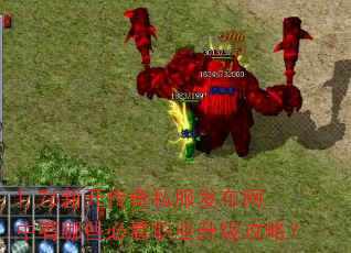 1.76新开传奇私服发布网中有哪些必看职业升级攻略? 1.76新开传奇私服发布网中有哪些必看职业升级攻略?