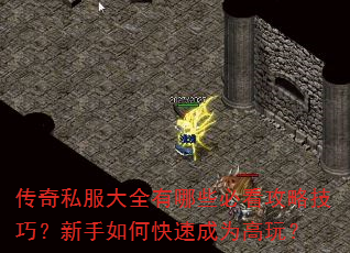 传奇私服大全有哪些必看攻略技巧?新手如何快速成为高玩? 传奇私服大全有哪些必看攻略技巧?新手如何快速成为高玩?