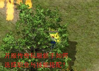 开服传奇私服新手如何选择职业与技能搭配? 开服传奇私服新手如何选择职业与技能搭配?