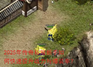 2025괫˽οս뱬װʣ